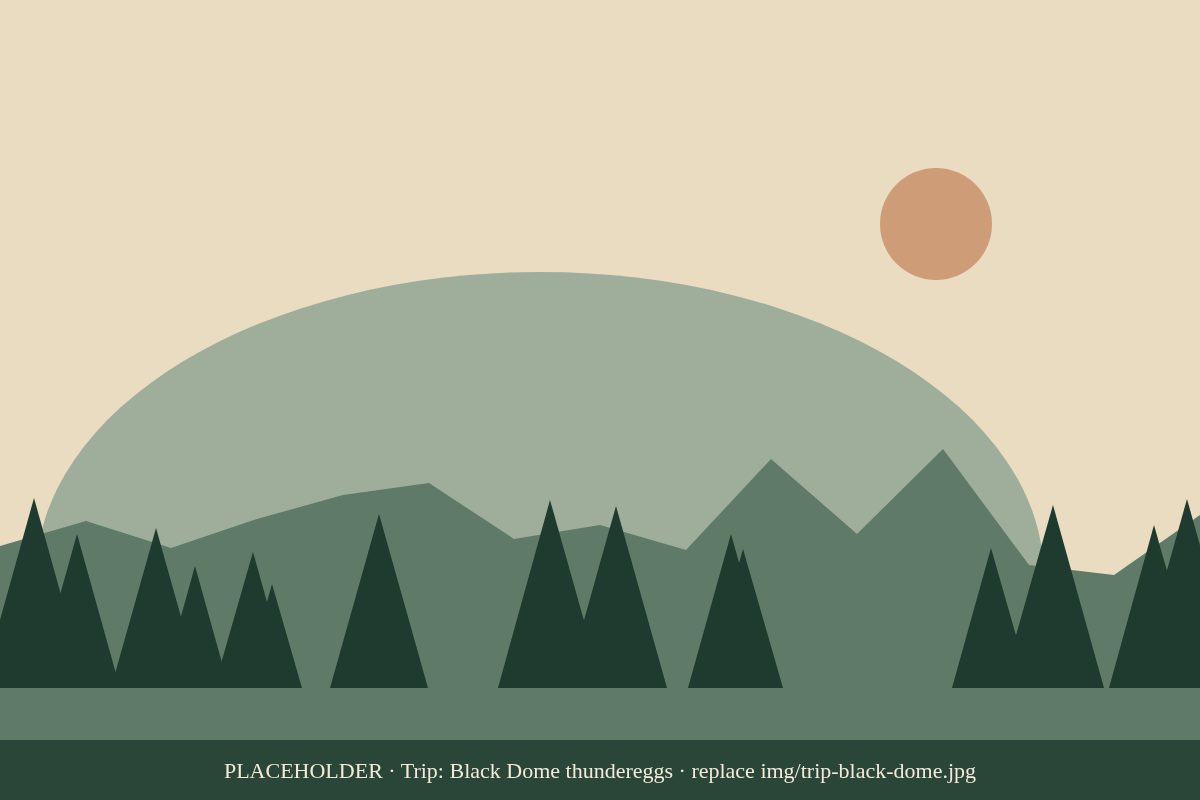 Thundereggs at Black Dome